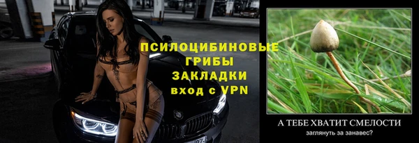 круглые Алзамай