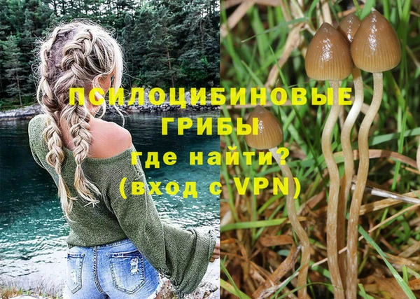 СК Наволоки